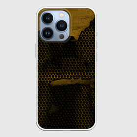 Чехол для iPhone 13 Pro с принтом Pittsburgh Penguins на спине в Новосибирске,  |  | canada | ice | nhl | pittsburgh penguins | sport | usa | зима | канада | лед | малкин | пингвины | питсбург | спорт | сша | хоккей | шайбу