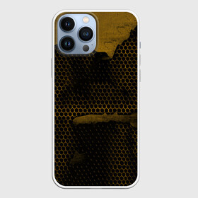 Чехол для iPhone 13 Pro Max с принтом Pittsburgh Penguins на спине в Новосибирске,  |  | canada | ice | nhl | pittsburgh penguins | sport | usa | зима | канада | лед | малкин | пингвины | питсбург | спорт | сша | хоккей | шайбу