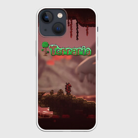 Чехол для iPhone 13 mini с принтом Terraria | Тэррария в Новосибирске,  |  | minecraft | terraria | индиигры | майнкрафт | терария | терра | террариа | террария | тэра | тэрария