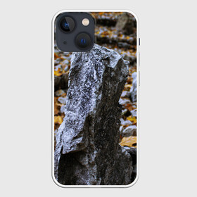 Чехол для iPhone 13 mini с принтом Осенняя лень в Новосибирске,  |  | апатия | вдохновение | грусть | депрессия | желтый | камень | камни | камушек | кризис | лень | листочек | листья | осень | природа | сезон | творчество | усталость