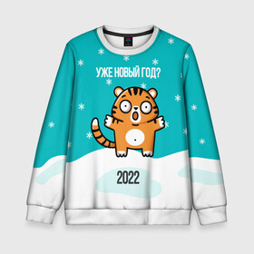 Детский свитшот 3D с принтом Уже новый год в Новосибирске, 100% полиэстер | свободная посадка, прямой крой, мягкая тканевая резинка на рукавах и понизу свитшота | 2022 | год тигра | новый год | новый год 2022 | символ года | тигр | тигренок | тигрица | тигры