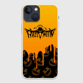 Чехол для iPhone 13 mini с принтом ХЕЛЛОУИН БРЫЗГИ КРАСОК   HALLOWEEN NIGHT в Новосибирске,  |  | bats | bones | ghost | halloween | pumpkin | skull | кости | летучие мыши | приведение | призрак | скелет | тыква | хеллоуин | хоррор | хэллоуин