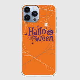 Чехол для iPhone 13 Pro Max с принтом ПАУТИНКА НА ХЭЛЛОУИН в Новосибирске,  |  | halloween | haloween | пауки | паутина | паутинка | паучки | хеллоин | хеллоуин | хелоин | хелоуин | хэллоин | хэллоуин | хэлоин | хэлоуин