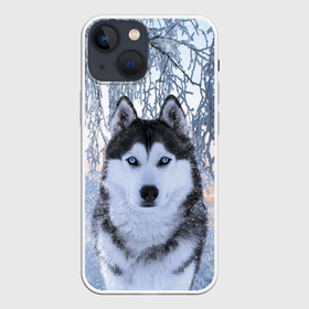 Чехол для iPhone 13 mini с принтом Хаски В Зимнем Лесу в Новосибирске,  |  | dog | forest | husky | winter | зима | лес | новый год | снег | собака | хаски