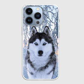 Чехол для iPhone 13 Pro с принтом Хаски В Зимнем Лесу в Новосибирске,  |  | dog | forest | husky | winter | зима | лес | новый год | снег | собака | хаски