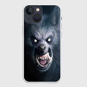 Чехол для iPhone 13 mini с принтом ВОЛК ОБОРОТЕНЬ в Новосибирске,  |  | animals | hunter | monster | wolf | волк | звери | зверь | клыки | монстр | оборотень | оскал | охотник | пасть | хищник | шерсть