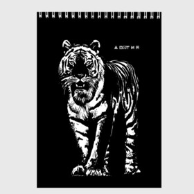 Скетчбук с принтом А вот и я, бандерлоги в Новосибирске, 100% бумага
 | 48 листов, плотность листов — 100 г/м2, плотность картонной обложки — 250 г/м2. Листы скреплены сверху удобной пружинной спиралью | 2022 | and here i am | big cat | came | new year | predator | tiger | year of the tiger | а вот и я | большая кошка | год тигра | новый год | пришел | тигр | хищник