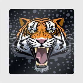 Магнит виниловый Квадрат с принтом Амурский тигр в ночи в Новосибирске, полимерный материал с магнитным слоем | размер 9*9 см, закругленные углы | 2022 | aggression | amur tiger | beast | grin | new year | night | open mouth | predator | snowfall | winter | year of the tiger | агрессия | амурский тигр | год тигра | зверь | зима | новый год | ночь | оскал | открытая пасть | снегопад | хищник