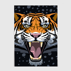 Постер с принтом Амурский тигр в ночи в Новосибирске, 100% бумага
 | бумага, плотность 150 мг. Матовая, но за счет высокого коэффициента гладкости имеет небольшой блеск и дает на свету блики, но в отличии от глянцевой бумаги не покрыта лаком | 2022 | aggression | amur tiger | beast | grin | new year | night | open mouth | predator | snowfall | winter | year of the tiger | агрессия | амурский тигр | год тигра | зверь | зима | новый год | ночь | оскал | открытая пасть | снегопад | хищник