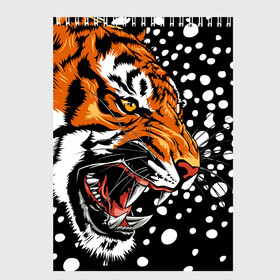 Скетчбук с принтом Амурский тигр и снегопад в Новосибирске, 100% бумага
 | 48 листов, плотность листов — 100 г/м2, плотность картонной обложки — 250 г/м2. Листы скреплены сверху удобной пружинной спиралью | Тематика изображения на принте: 2022 | amur tiger | beast | grin | new year | night | open mouth | predator | profile | snowfall | winter | year of the tiger | амурский тигр | год тигра | зверь | зима | новый год | ночь | оскал | открытая пасть | профиль | снегопад | хищник