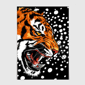 Постер с принтом Амурский тигр и снегопад в Новосибирске, 100% бумага
 | бумага, плотность 150 мг. Матовая, но за счет высокого коэффициента гладкости имеет небольшой блеск и дает на свету блики, но в отличии от глянцевой бумаги не покрыта лаком | Тематика изображения на принте: 2022 | amur tiger | beast | grin | new year | night | open mouth | predator | profile | snowfall | winter | year of the tiger | амурский тигр | год тигра | зверь | зима | новый год | ночь | оскал | открытая пасть | профиль | снегопад | хищник