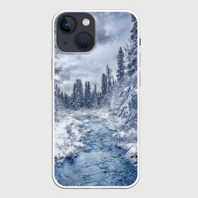 Чехол для iPhone 13 mini с принтом СНЕЖНЫЙ ПЕЙЗАЖ в Новосибирске,  |  | fores | ice | snow | white | winter | белый | вода | зима | иней | красота | лед | лес | мороз | небо | новый год | пейзаж | природа | река | ручей | снег