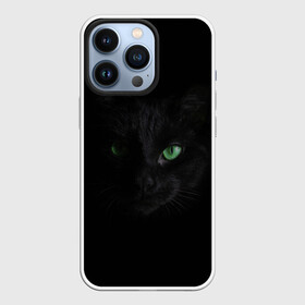 Чехол для iPhone 13 Pro с принтом Хочу быть кошкой в Новосибирске,  |  | cat | глаза кошки | зеленоглазая кошка | кот | кошка