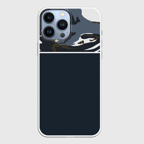 Чехол для iPhone 13 Pro Max с принтом Камуфляж 2.0 в Новосибирске,  |  | военное | камуфляж | пестрое | пестрый | яркий