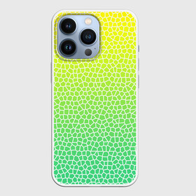 Чехол для iPhone 13 Pro с принтом Витражная мозаика в Новосибирске,  |  | витраж | градиент | зеленое стекло | зеленый | зеленый радуга | зеленый сети | лимон | мозаика | радуга | светло зеленый | соты | яркий