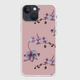 Чехол для iPhone 13 mini с принтом Розовые орхидеи на розовом фоне в Новосибирске,  |  | 8 марта | flowers | march 8 | spring | ботаническая иллюстрация | весна | день рождения | лето | любовь | орхидея | праздник | принт | природа | растения | розовый | цветы