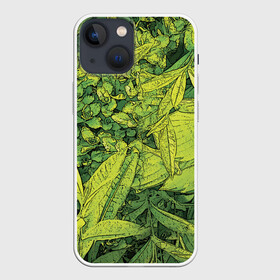 Чехол для iPhone 13 mini с принтом Растительная жизнь   Хоста в Новосибирске,  |  | весенний | зеленый | листья | растения | салатовый | свежий | хоста | цветы