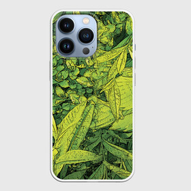 Чехол для iPhone 13 Pro с принтом Растительная жизнь   Хоста в Новосибирске,  |  | весенний | зеленый | листья | растения | салатовый | свежий | хоста | цветы
