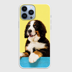 Чехол для iPhone 13 Pro Max с принтом Бернский зенненхунд, Berner Sennenhund в Новосибирске,  |  | Тематика изображения на принте: berner | berner sennenhund | dog | sennenhund | бернский зенненхунд | животные | пес | природа | собака | собаки | собакчка | собачки