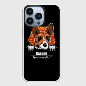 Чехол для iPhone 13 Pro с принтом Басенджи (Basenji) в Новосибирске,  |  | Тематика изображения на принте: african dog | animal | basenji | congo terrier | dog | африканская собака | басенджи | год собаки | друг человека | животное | зверь | кинолог | конго терьер | пёс | собака басенджи | собаковод | четвероногий