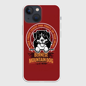 Чехол для iPhone 13 mini с принтом Бернский Зенненхунд (Bernese Mountain) в Новосибирске,  |  | anim | bernese mountain dog | bernese sheepdog | dog | бернская овчарка | бернский зенненхунд | год собаки | друг человека | животное | зверь | кинолог | овчарка | пастушья собака | пёс | порода собак