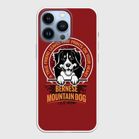 Чехол для iPhone 13 Pro с принтом Бернский Зенненхунд (Bernese Mountain) в Новосибирске,  |  | anim | bernese mountain dog | bernese sheepdog | dog | бернская овчарка | бернский зенненхунд | год собаки | друг человека | животное | зверь | кинолог | овчарка | пастушья собака | пёс | порода собак