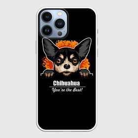 Чехол для iPhone 13 Pro Max с принтом Чихуахуа (Chihuahua) в Новосибирске,  |  | animal | chihuahua | dog | год собаки | друг человека | животное | зверь | карликовая собачка | карманная собачка | кинолог | маленькая собака | пёс | пёсик | собака чихуахуа | собаковод | четвероногий