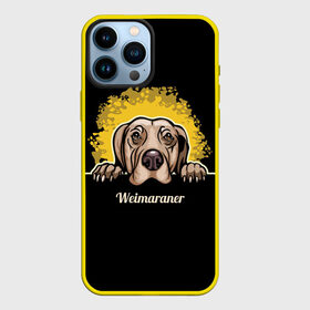 Чехол для iPhone 13 Pro Max с принтом Веймаранер (Weimaraner) в Новосибирске,  |  | animal | dog | hunting dog | weimaraner | веймаранер | веймарская овчарка | год собаки | друг человека | животное | зверь | кинолог | легавая | охотничья собака | пёс | порода собак | собака | собака веймаранер
