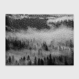 Обложка для студенческого билета с принтом ТУМАННЫЙ ЛЕС | FOREST в Новосибирске, натуральная кожа | Размер: 11*8 см; Печать на всей внешней стороне | forest | деревья | дым | лес | мрачный лес | природа | туман