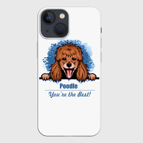 Чехол для iPhone 13 mini с принтом Собака Пудель (Poodle) в Новосибирске,  |  | dog | dog poodle | m | miniature poodle | poodle | poodle puppies | royal poodle | белый пудель | год собаки | друг человека | животное | зверь | карликовый пудель | кинолог | королевский пудель | мини пудель | пёс | пудель