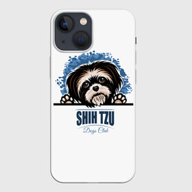 Чехол для iPhone 13 mini с принтом Ши Тцу (Shih Tzu) в Новосибирске,  |  | animal | dog | год собаки | друг человека | животное | зверь | кинолог | красавица | милашка | пёс | пёсик | порода собак | собака | собака лев | собака ши тцу | собаковод | собачка хризантема | четвероногий