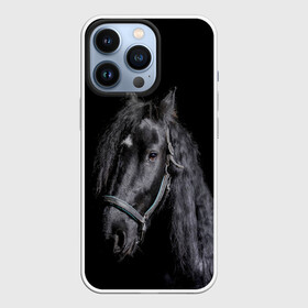 Чехол для iPhone 13 Pro с принтом Лошадь на черном фоне в Новосибирске,  |  | восход | животные | закат | звери | кони | конь | коняшка | лошади | лошадка | лошадь | на восходе | на закате | пони | природа | солнце