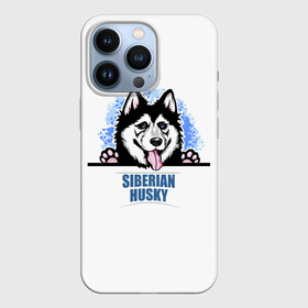Чехол для iPhone 13 Pro с принтом Сибирский Хаски (Siberian Husky) в Новосибирске,  |  | Тематика изображения на принте: ani | dog | husky | siberian husky | wolf | аляскинский маламут | волк | год собаки | друг человека | ездовая собака | животное | зверь | ищейка | кинолог | кость | лайка | пёс | сибирский хаски | сибирь | собака