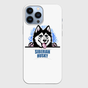 Чехол для iPhone 13 Pro Max с принтом Сибирский Хаски (Siberian Husky) в Новосибирске,  |  | ani | dog | husky | siberian husky | wolf | аляскинский маламут | волк | год собаки | друг человека | ездовая собака | животное | зверь | ищейка | кинолог | кость | лайка | пёс | сибирский хаски | сибирь | собака