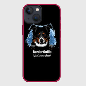 Чехол для iPhone 13 mini с принтом Бордер Колли (Border Collie) в Новосибирске,  |  | animal | border collie | dog | бордер колли | год собаки | друг человека | животное | зверь | ищейка | кинолог | кость | овчарка | пастушья собака | пёс | порода собак | собака бордер колли | собаковод