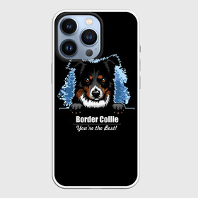 Чехол для iPhone 13 Pro с принтом Бордер Колли (Border Collie) в Новосибирске,  |  | animal | border collie | dog | бордер колли | год собаки | друг человека | животное | зверь | ищейка | кинолог | кость | овчарка | пастушья собака | пёс | порода собак | собака бордер колли | собаковод