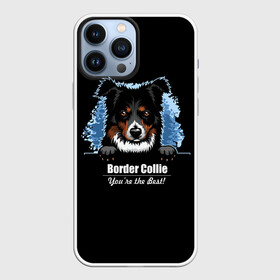 Чехол для iPhone 13 Pro Max с принтом Бордер Колли (Border Collie) в Новосибирске,  |  | animal | border collie | dog | бордер колли | год собаки | друг человека | животное | зверь | ищейка | кинолог | кость | овчарка | пастушья собака | пёс | порода собак | собака бордер колли | собаковод