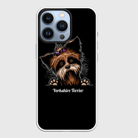 Чехол для iPhone 13 Pro с принтом Собачка Йоркширский Терьер в Новосибирске,  |  | york | yorkshire terrier | год | друг человека | животное | зверь | йорк | йоркширский терьер | карманная собака | кость | мальтезе | мальтийская болонка | манчестер терьер | мини собачка | пёс | скайтерьер