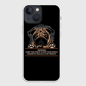 Чехол для iPhone 13 mini с принтом Собака Мопс в Новосибирске,  |  | bulldog | pug | pug dog | pug puppies | бульдог | год собаки | друг человека | дружные мопсы | дядя мопс | животное | зверь | кинолог | мопс | пёс | порода собак | собака боксёр | собака мопс | собаковод | четвероногий