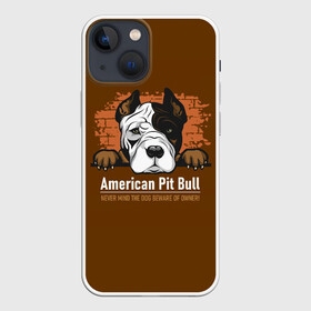 Чехол для iPhone 13 mini с принтом Американский Питбультерьер (Pit Bull Terrier) в Новосибирске,  |  | american pit bull terrier | boxer | bulldog | fighting dog | pit bull | американский питбультерьер | бойцовская собака | бойцовский пес | боксер | бульдог | волкодав | друг человека | кинолог | пес | питбуль | питбультерьер