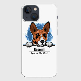 Чехол для iPhone 13 mini с принтом Собака Басенджи в Новосибирске,  |  | african dog | animal | basenji | congo terrier | dog | африканская собака | басенджи | год собаки | друг человека | животное | зверь | кинолог | конго терьер | пёс | собака басенджи | собаковод | четвероногий