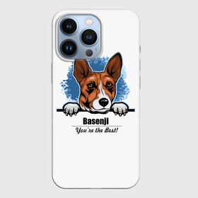 Чехол для iPhone 13 Pro с принтом Собака Басенджи в Новосибирске,  |  | african dog | animal | basenji | congo terrier | dog | африканская собака | басенджи | год собаки | друг человека | животное | зверь | кинолог | конго терьер | пёс | собака басенджи | собаковод | четвероногий