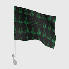 Флаг для автомобиля с принтом Ёлки ненавидят Новый год в Новосибирске, 100% полиэстер | Размер: 30*21 см | елка | лес | прикол | природа | цитата