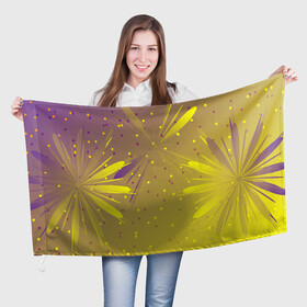 Флаг 3D с принтом Новогодний салют(фейерверк) в Новосибирске, 100% полиэстер | плотность ткани — 95 г/м2, размер — 67 х 109 см. Принт наносится с одной стороны | абстракция | конфети | новый год | салют | фейерверк