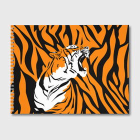 Альбом для рисования с принтом Тигровый окрас в Новосибирске, 100% бумага
 | матовая бумага, плотность 200 мг. | Тематика изображения на принте: 2022 | aggressive | brindle color | fangs | in profile | new year | open mouth | predator | tiger | year of the tiger | агрессивный | в профиль | год тигра | клыки | новый год | открытая пасть | тигр | тигровый окрас | хищник