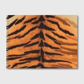 Альбом для рисования с принтом ТИГРИНАЯ ШКУРА в Новосибирске, 100% бумага
 | матовая бумага, плотность 200 мг. | 2022 | christmas | merry | new | tiger | year | год | животные | новый | рождество | текструа | тигр | тигра | тигриная | тигровая | шерсть
