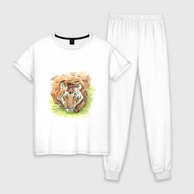 Женская пижама хлопок с принтом Портрет тигра с зелёными глазами в Новосибирске, 100% хлопок | брюки и футболка прямого кроя, без карманов, на брюках мягкая резинка на поясе и по низу штанин | 2022 | глаза | животное | зверь | китайский календарь | кошка | новый год | оранжевый | полоски | символ года | тигр | хищник