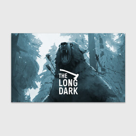 Бумага для упаковки 3D с принтом The Long Dark (медведь) в Новосибирске, пластик и полированная сталь | круглая форма, металлическое крепление в виде кольца | Тематика изображения на принте: the long dark | выживание | выживший | долгая тьма | зима | игры | лес | медведь | топор