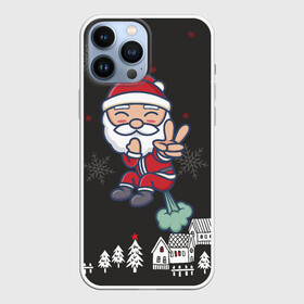 Чехол для iPhone 13 Pro Max с принтом Плохой Санта 2022 Bad Santa в Новосибирске,  |  | 2022 | год тигра | новый год | новый год 2022 | символ года | тигр | тигренок | тигрица | тигры