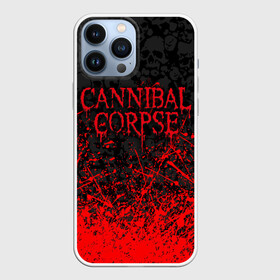 Чехол для iPhone 13 Pro Max с принтом CANNIBAL CORPSE, БРЫЗГИ КРАСОК   ЧЕРЕПА в Новосибирске,  |  | bones | cannibal | cannibal corpse | corpse | death metal | deathgrind | skull | алекс уэбстер | брутальный дэт метал | дэт метал | дэтграйнд | каннибал корпс | кеннибал корпс | кэннибал корпс | пол мазуркевич | роб барретт | скелет